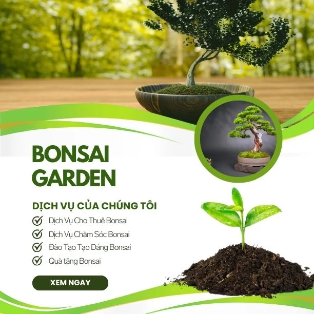 Bonsai Garden